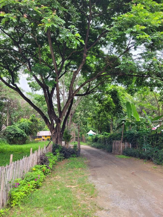Brookhouse At Khaoyai Villa Ban Khanong Phra Klang Eksteriør billede